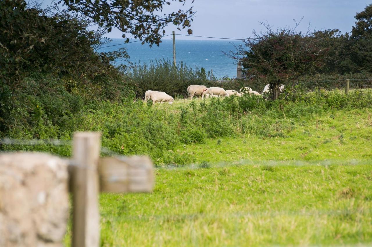 Tyn Lon Villa Moelfre Bagian luar foto
