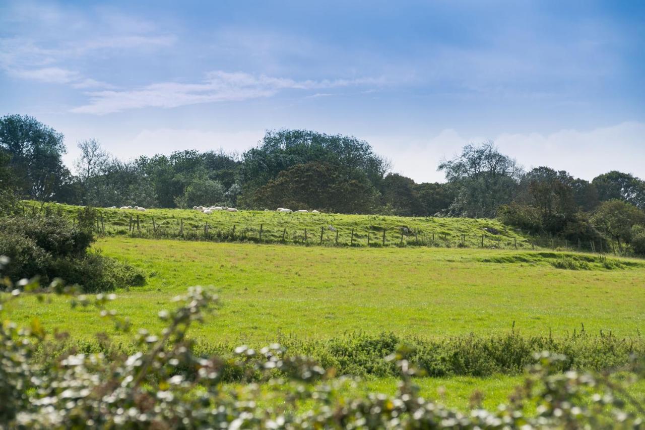 Tyn Lon Villa Moelfre Bagian luar foto